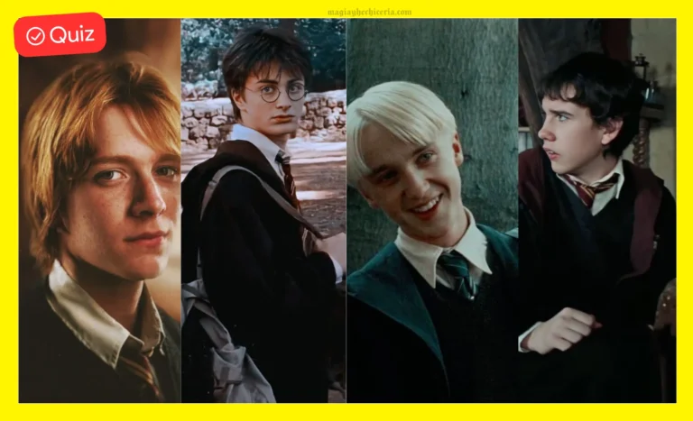 Test de amistad mágica en el universo de Harry Potter