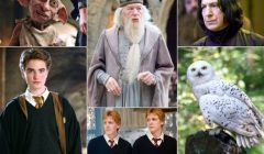 tests de Harry Potter