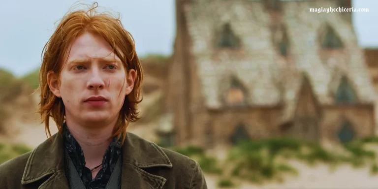 Bill Weasley: Del Burrow a la valentía de un rompemaldiciones