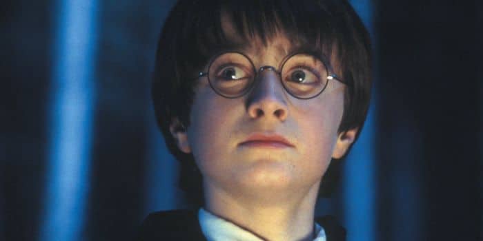 Quien es Harry Potter
