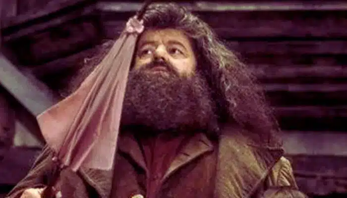 ¿Fueel peor momento de Hagrid en toda la saga