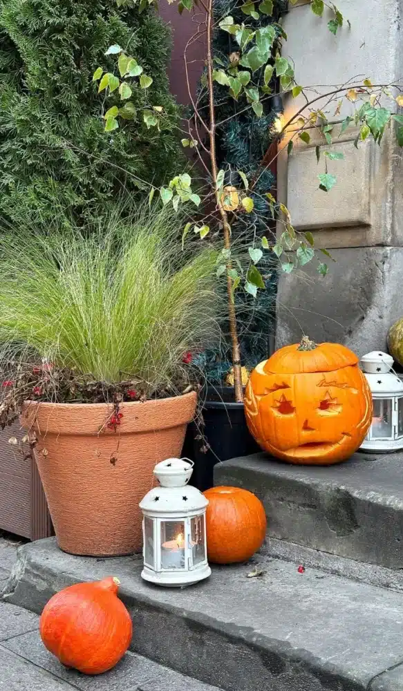 ideas de halloween para decorar harry potter