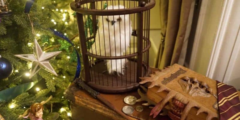 Hedwich y libro que muerde harry potter navidad