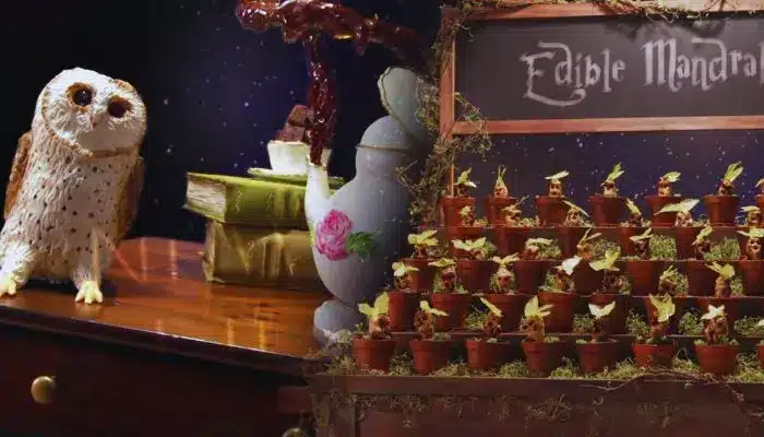 review programa Merece la pena Harry Potter y los magos de la reposteria