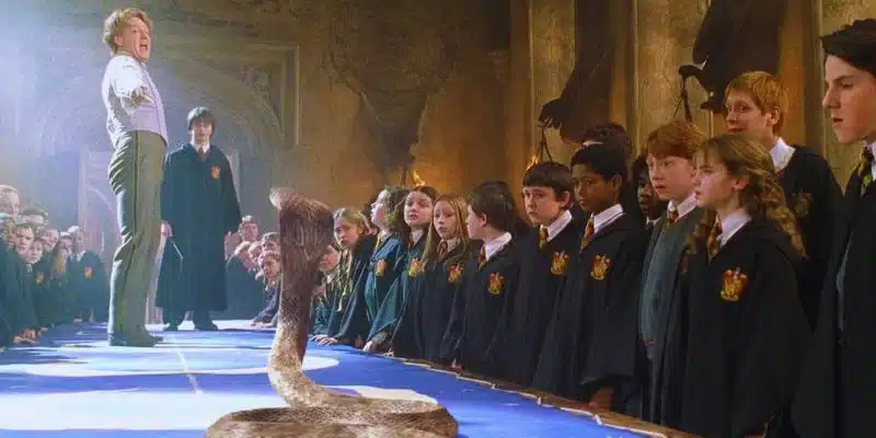 Los Ravenclaw son ignorantes 1