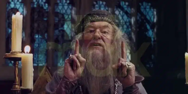 ¿Que implica este proceso de casting para la serie de Harry Potter en HBO
