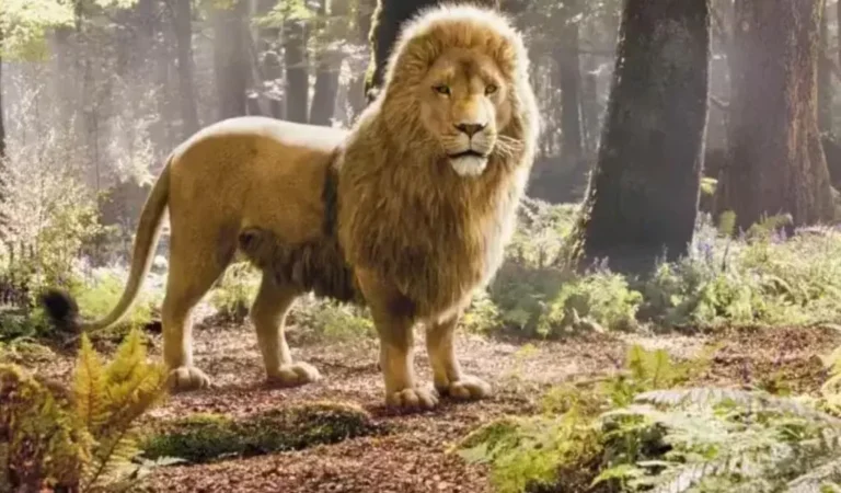 El conflicto entre IMAX Netflix y la nueva adaptacion de Las Cronicas de Narnia