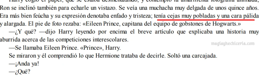 definicion madre de severus snape libro