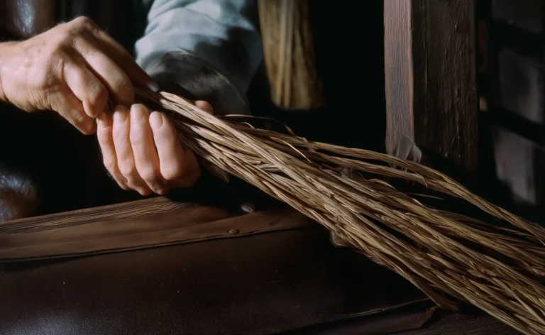 ¿Quien le regalo la Saeta de Fuego a Harry Potter