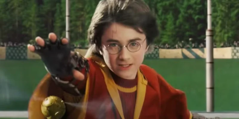 El triunfo de Harry en la Copa de Quidditch
