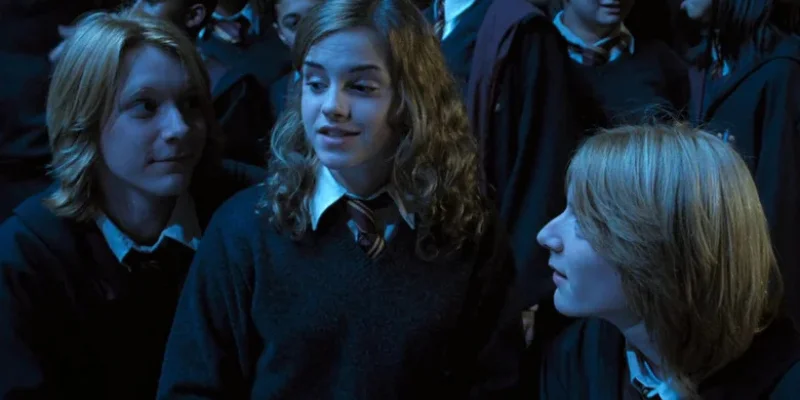 Hermione defendiendo los elfos domesticos