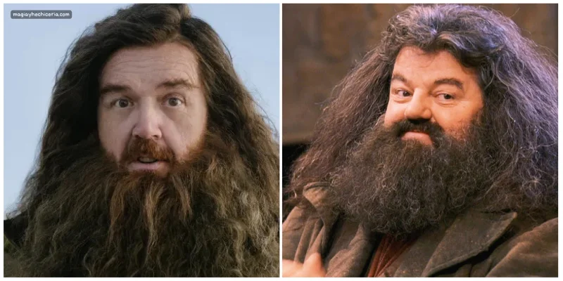 Nick Frost como Rubeus Hagrid