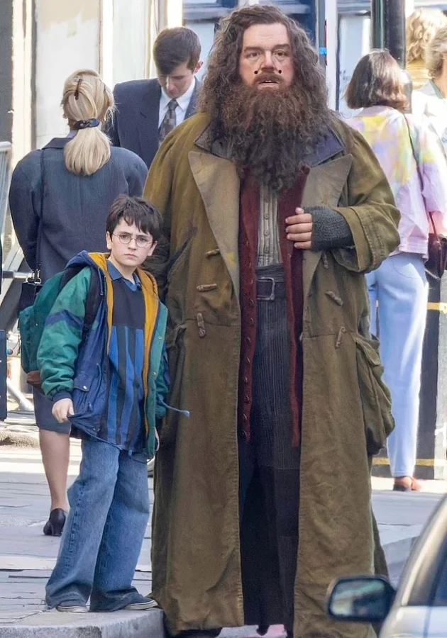 Hagrid nuevo actor
