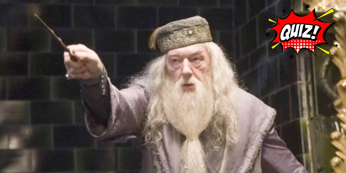 Test ¿Quien lo dijo Dumbledore Nietzsche o una tia en Facebook